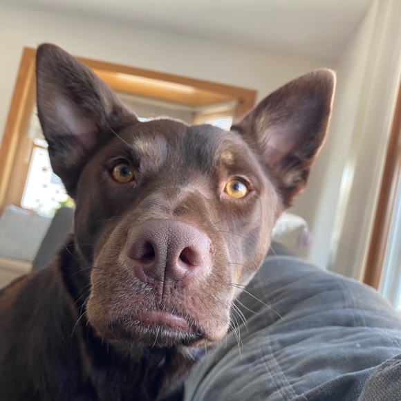 Meet your Posher, Alexis - Picture 3 of 9